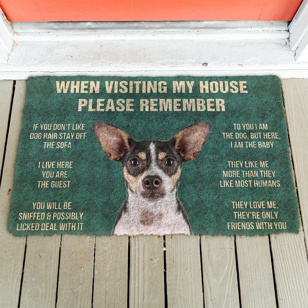 GearHuman 3D Please Remember Rat Terrier Dogs House Rules Doormat GV250132 Doormat