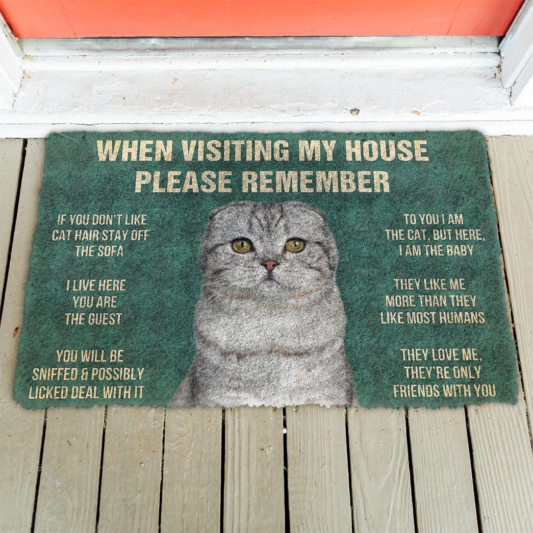 GearHuman 3D Please Remember Scottish Fold Cats House Rules Doormat GV260110 Doormat