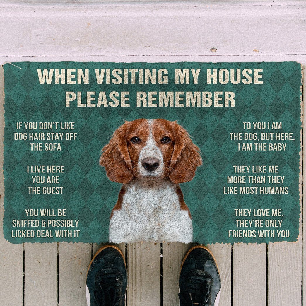 GearHuman 3D Please Remember Welsh Springer Spaniel Dogs House Rules Doormat GV250140 Doormat