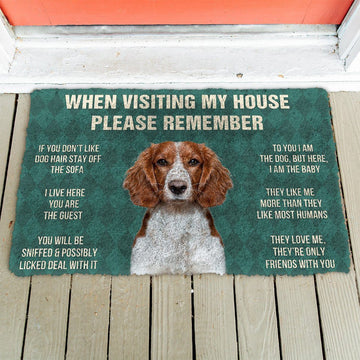 Gearhumans GearHuman 3D Please Remember Welsh Springer Spaniel Dogs House Rules Doormat