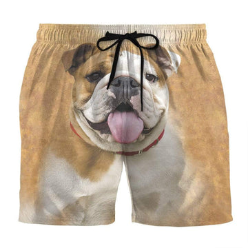 Gearhumans 3D Cute Face Bulldog Custom Summer Beach Shorts Swim Trunks GV120624 Men Shorts Men Shorts S 
