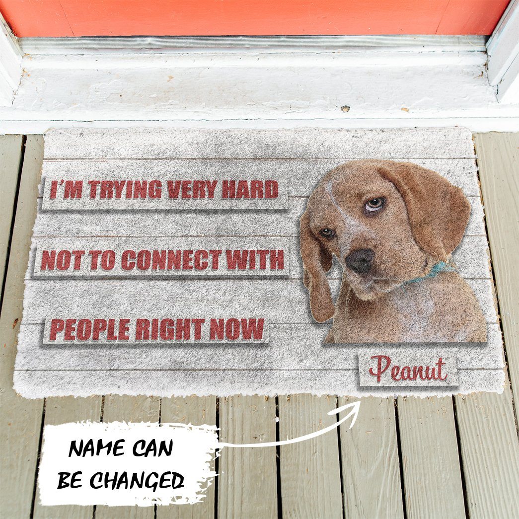 Gearhumans 3D David Rose Im trying very hard not to connect with people right now Custom Name Doormat GO27052111 Doormat 