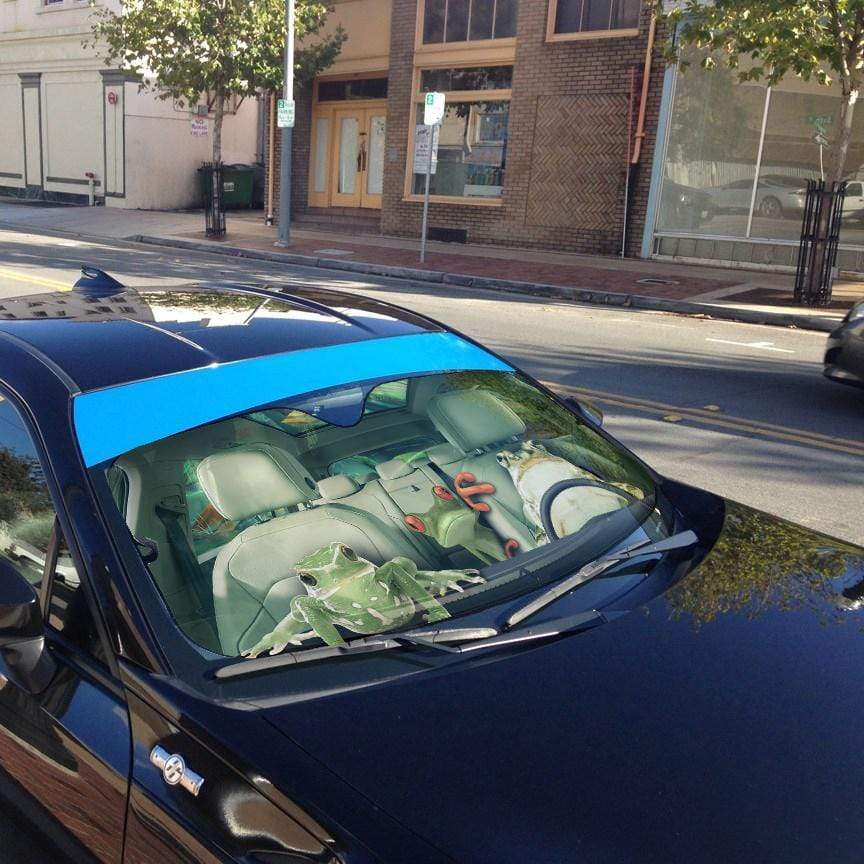 gearhumans 3D Frogs Custom Car Auto Sunshade GL100828 Auto Sunshade 