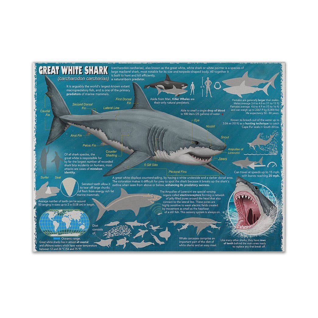 Gearhumans 3D Great White Shark Canvas ZK1905218 Canvas 1 Piece Non Frame M