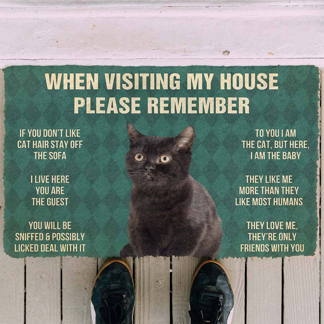 Gearhumans 3D Please Remember Black Kitten Cats House Rules Custom Doormat GO10052125 Doormat 