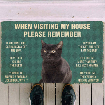 Gearhumans 3D Please Remember Black Kitten Cats House Rules Custom Doormat