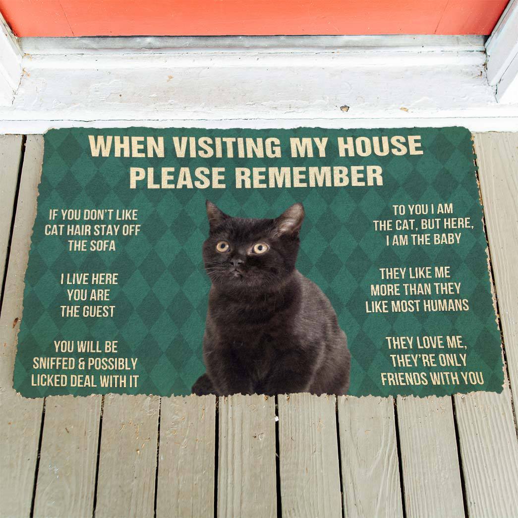 Gearhumans 3D Please Remember Black Kitten Cats House Rules Custom Doormat GO10052125 Doormat 