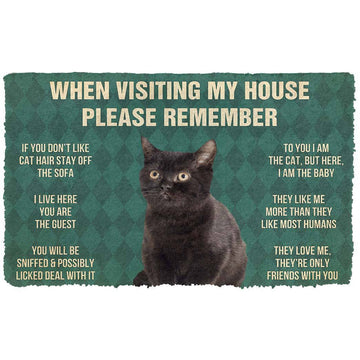 Gearhumans 3D Please Remember Black Kitten Cats House Rules Custom Doormat