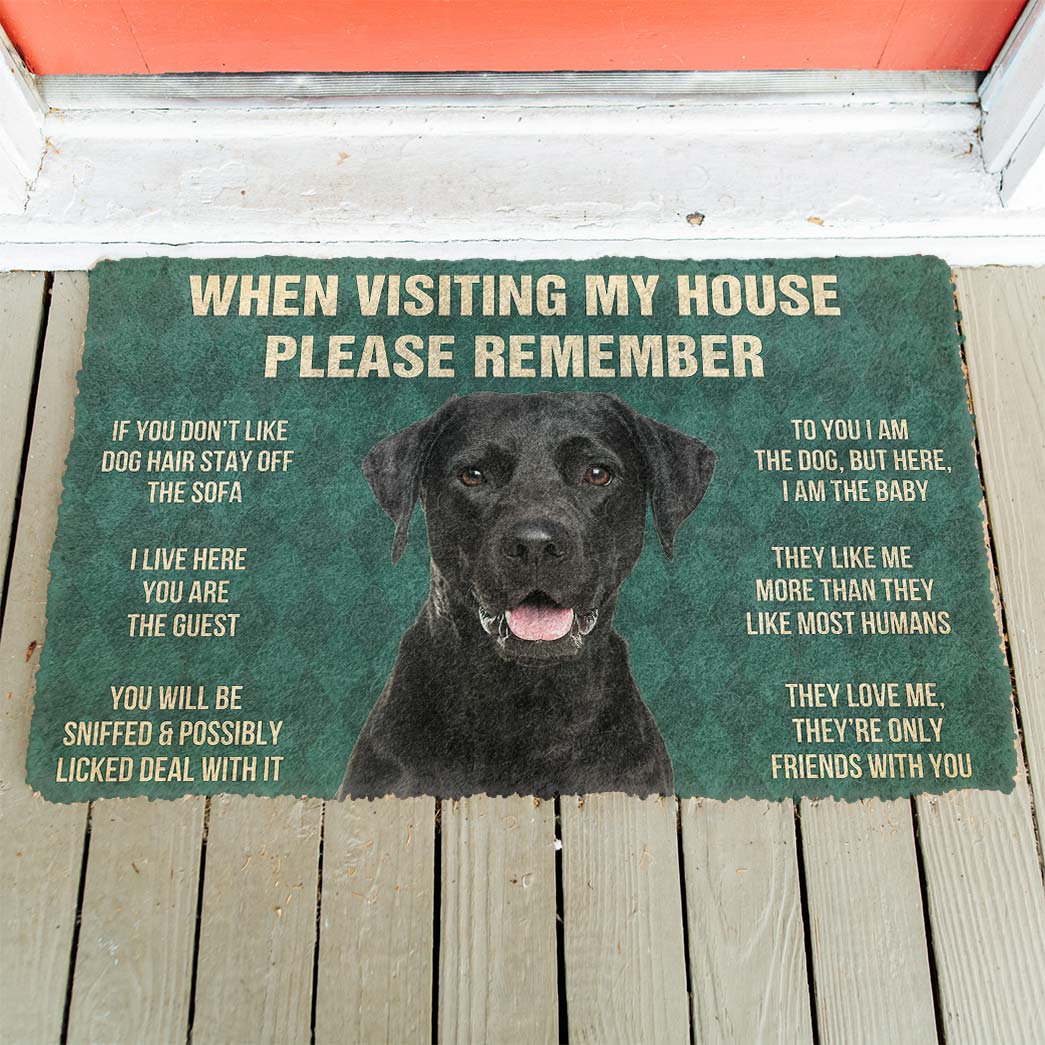 Gearhumans 3D Please Remember Black Labrador Retrievers House Rule Custom Doormat GW2204215 Doormat 