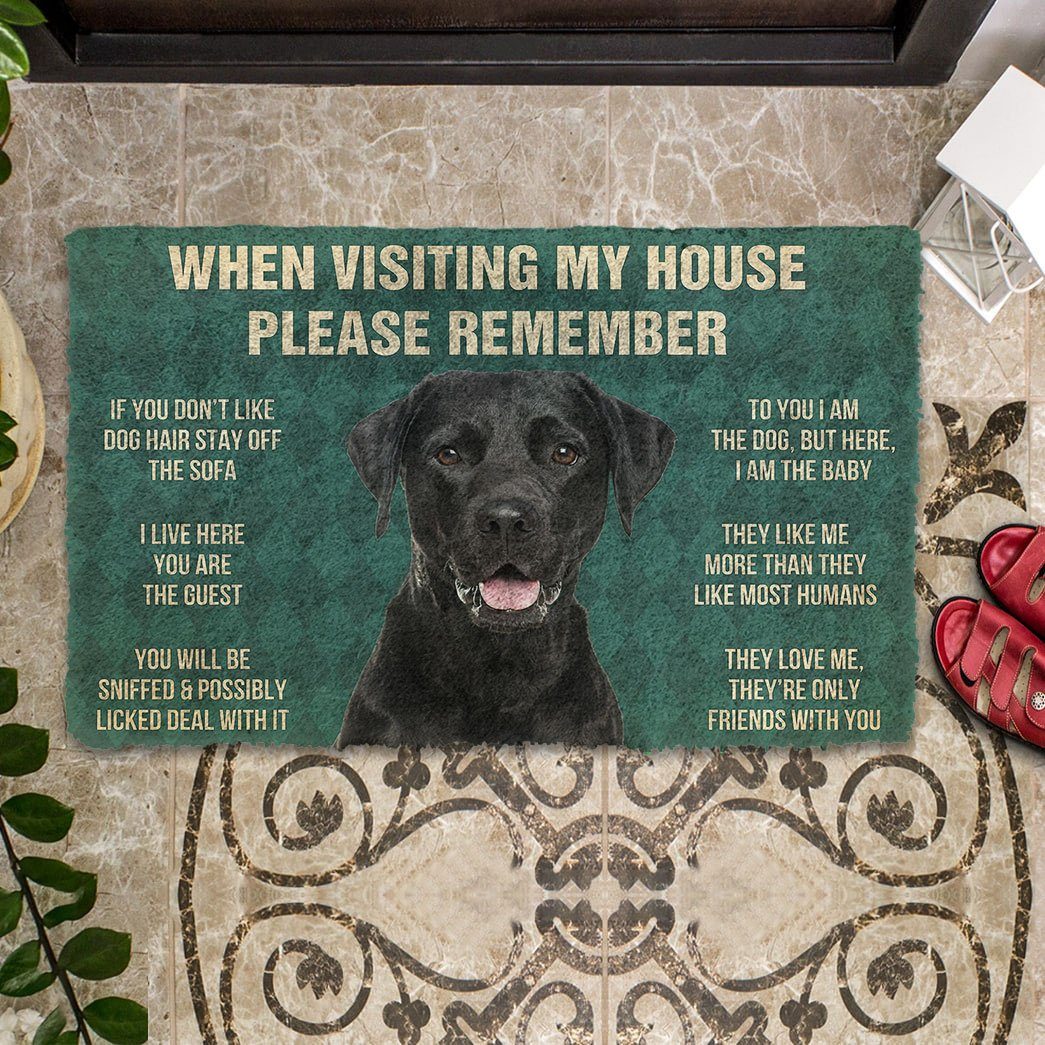 Gearhumans 3D Please Remember Black Labrador Retrievers House Rule Custom Doormat GW2204215 Doormat 