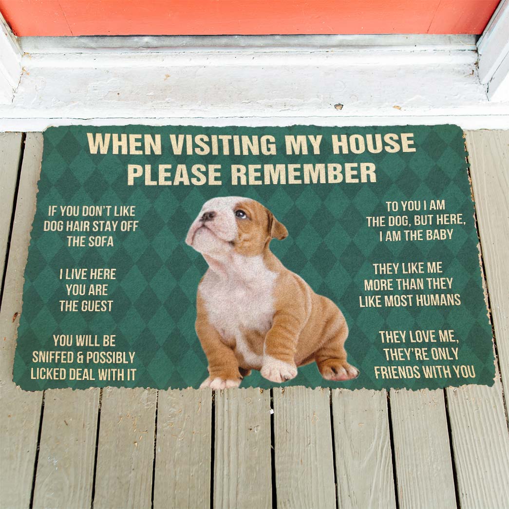 Gearhumans 3D Please Remember Bulldog Puppy Dogs House Rules Custom Doormat GO07052127 Doormat 