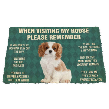 Gearhumans 3D Please Remember Cavalier King Charles Spaniel Dogs Puppy Dogs House Rules Custom Doormat