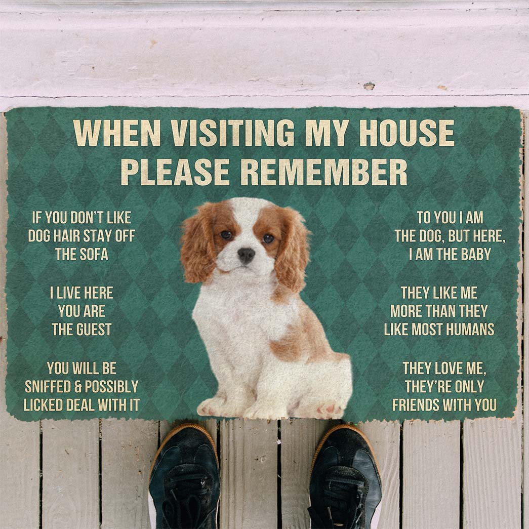 Gearhumans 3D Please Remember Cavalier King Charles Spaniel Dogs Puppy Dogs House Rules Custom Doormat GO07052128 Doormat 