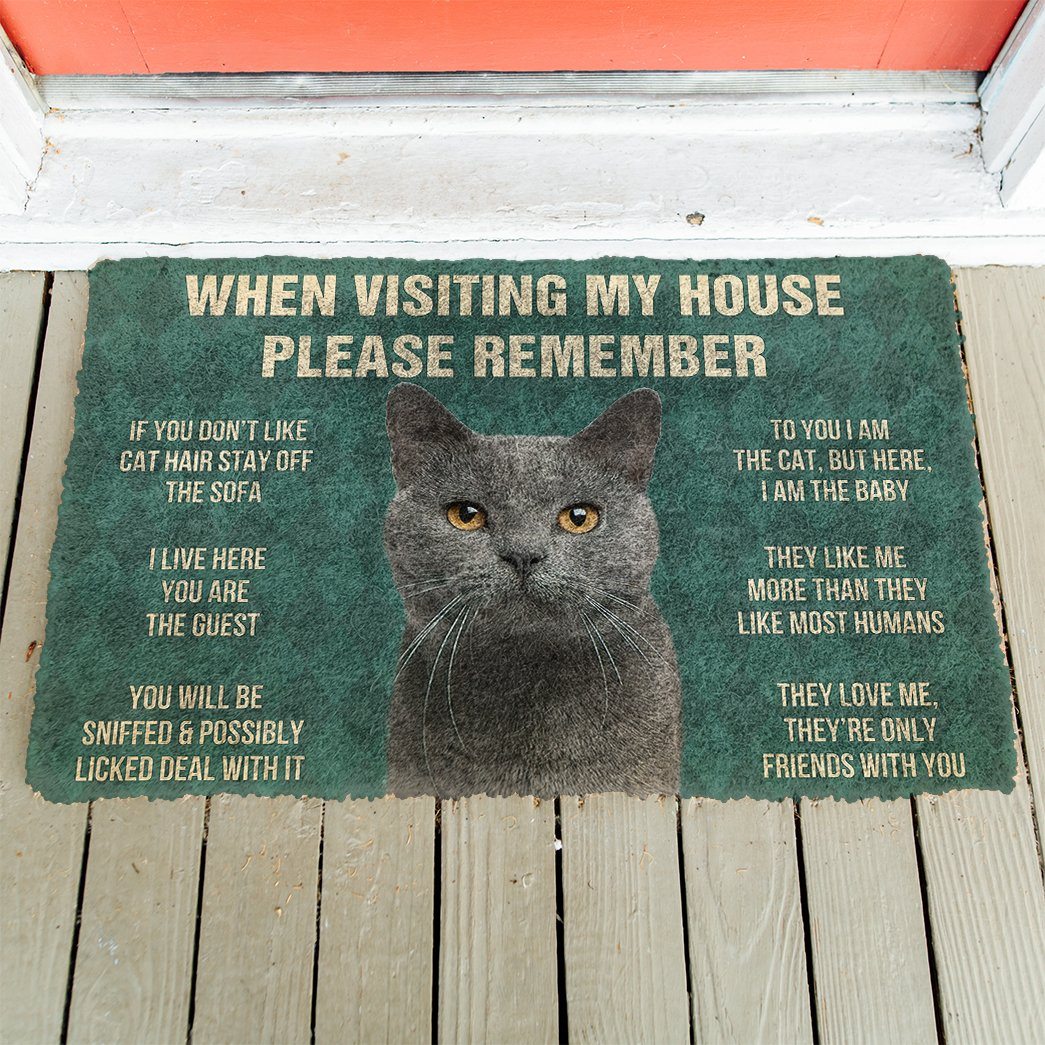 Gearhumans 3D Please Remember Chartreux Cats House Rules Custom Doormat GS0605217 Doormat 