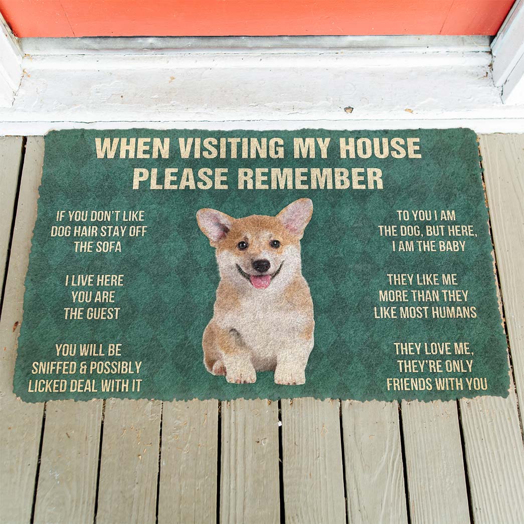 Gearhumans 3D Please Remember Corgi Puppy Dogs House Rules Custom Doormat GO18052112 Doormat 