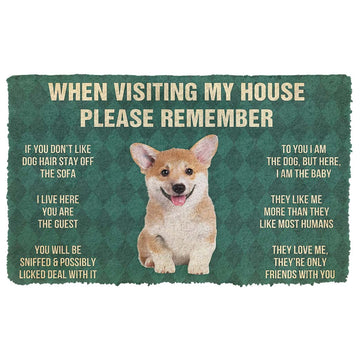 Gearhumans 3D Please Remember Corgi Puppy Dogs House Rules Custom Doormat