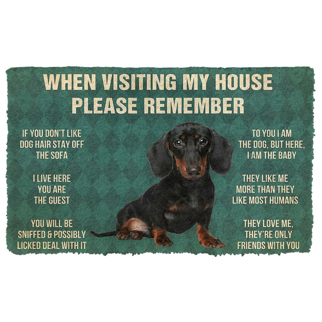 Gearhumans 3D Please Remember Dachshunds Puppy Dogs House Rules Custom Doormat GO07052131 Doormat Doormat S(15,8inchx23,6inch) 