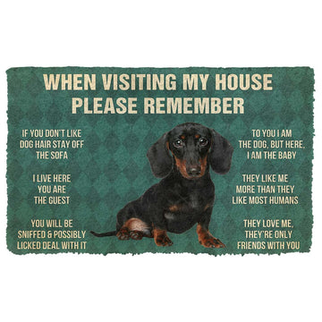Gearhumans 3D Please Remember Dachshunds Puppy Dogs House Rules Custom Doormat
