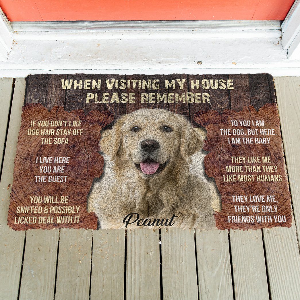 Gearhumans 3D Please Remember Dogs House Rule Custom Photo Custom Name Doormat GW0107215 Doormat 