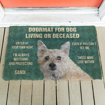 Gearhumans 3D Please Remember Dogs House Rules Custom Doormat