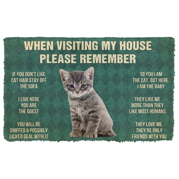 Gearhumans 3D Please Remember Gray Tabby Kitten Cats House Rules Custom Doormat