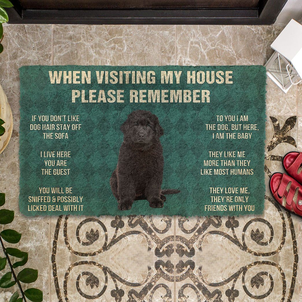 Gearhumans 3D Please Remember Newfoundland Puppy Dogs House Rules Custom Doormat GO17052122 Doormat 