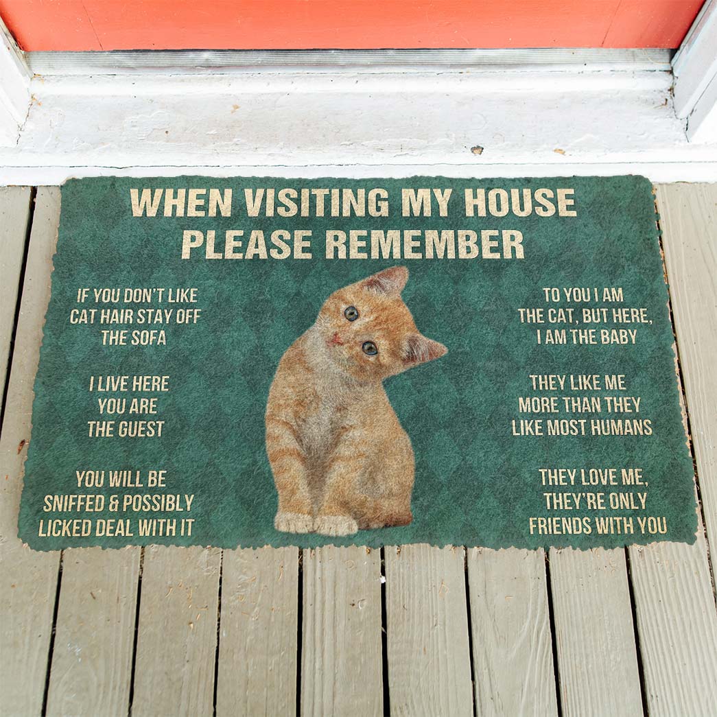 Gearhumans 3D Please Remember Orange Tabby Kitten Cats House Rules Custom Doormat GO10052123 Doormat 