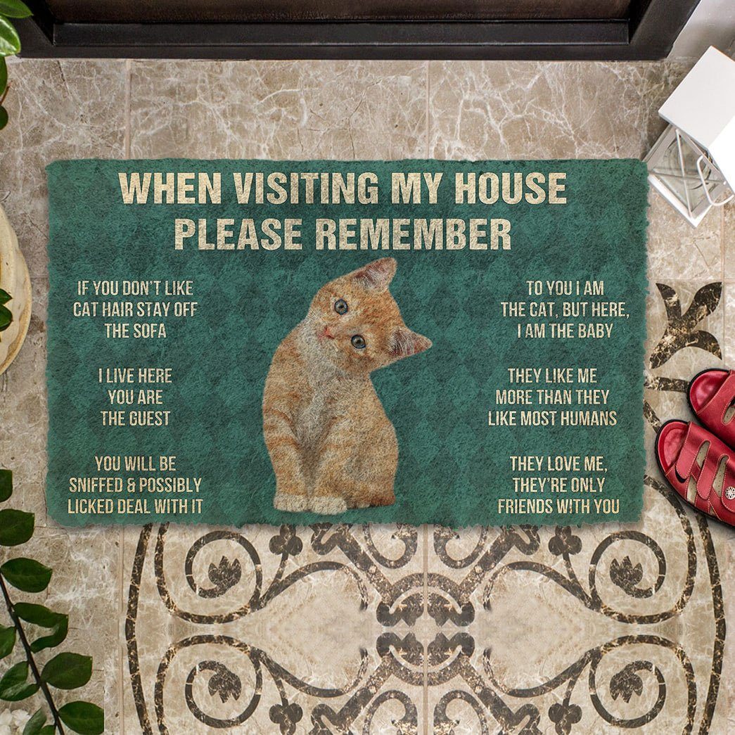 Gearhumans 3D Please Remember Orange Tabby Kitten Cats House Rules Custom Doormat GO10052123 Doormat 