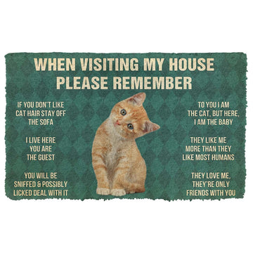Gearhumans 3D Please Remember Orange Tabby Kitten Cats House Rules Custom Doormat GO10052123 Doormat Doormat S(15,8inchx23,6inch) 