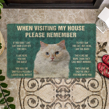 Gearhumans 3D Please Remember Ragamuffin Cats House Rules Custom Doormat
