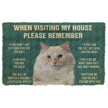 Gearhumans 3D Please Remember Ragamuffin Cats House Rules Custom Doormat