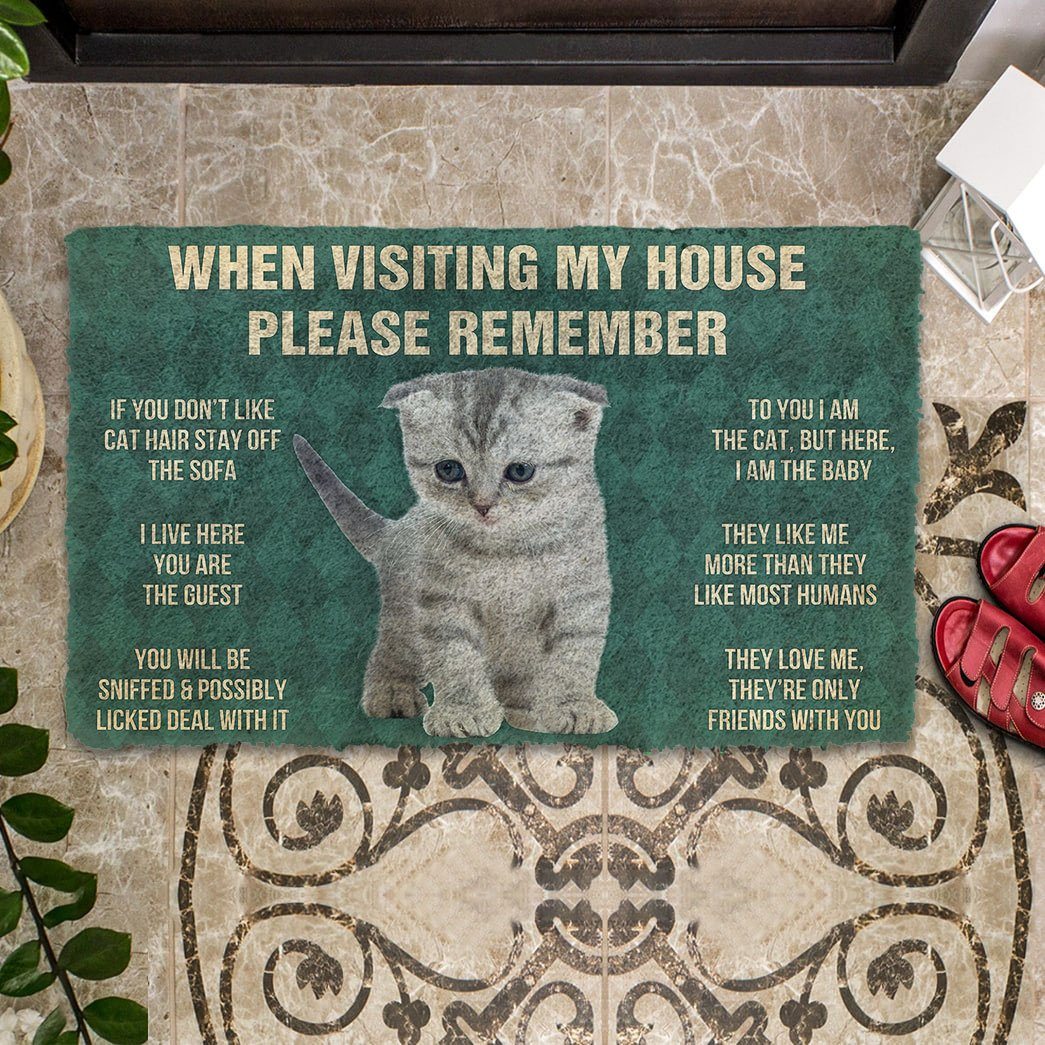 Gearhumans 3D Please Remember Scottish Fold Kitten Cats House Rules Custom Doormat GO10052127 Doormat 