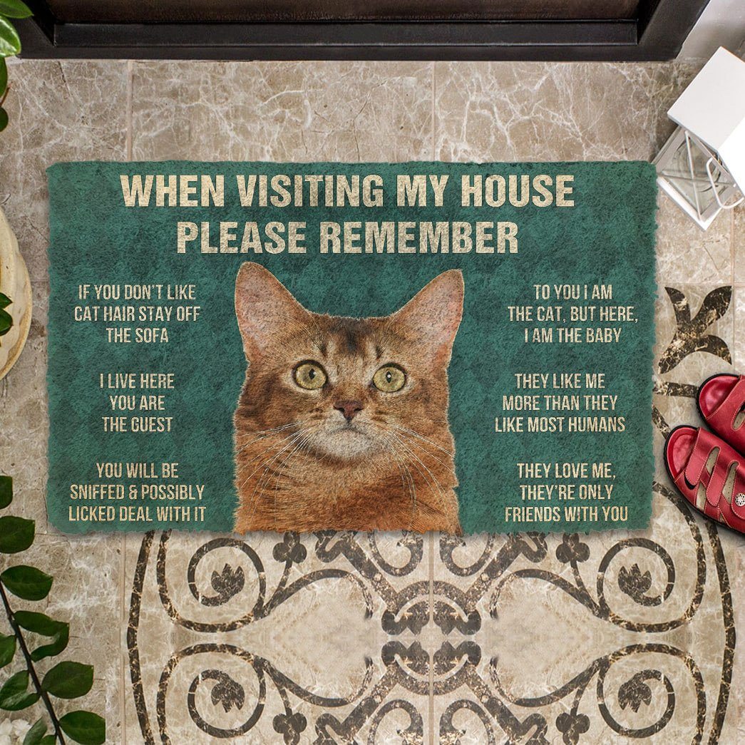 Gearhumans 3D Please Remember Somali Cat House Rules Custom Doormat GS07052120 Doormat 