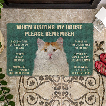 Gearhumans 3D Please Remember Turkish Van Cat House Rules Custom Doormat