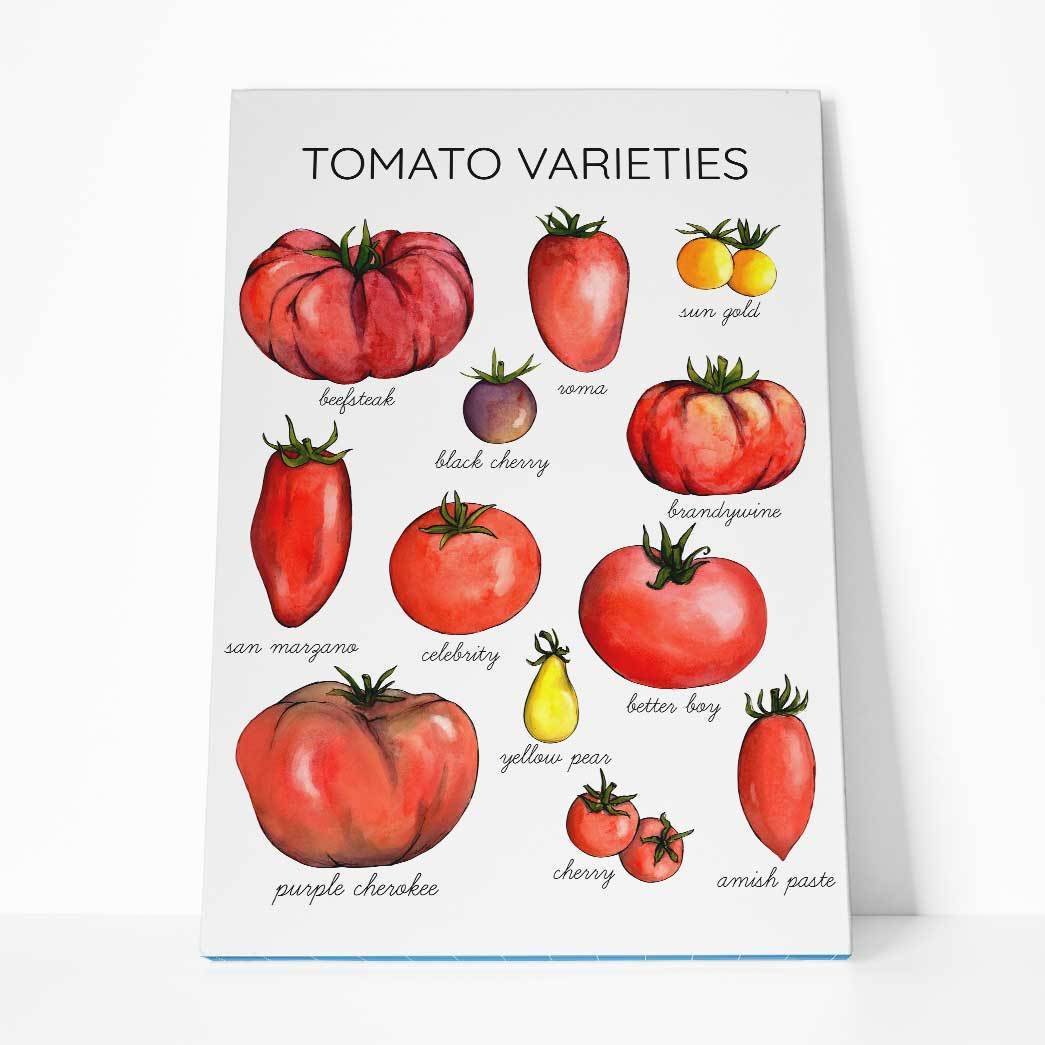 Gearhumans Tomato Varieties Canvas ZK1805215 Canvas 1 Piece Non Frame M