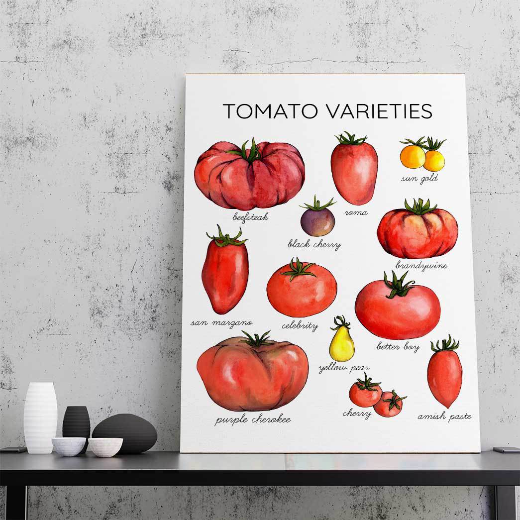 Gearhumans Tomato Varieties Canvas ZK1805215 Canvas 