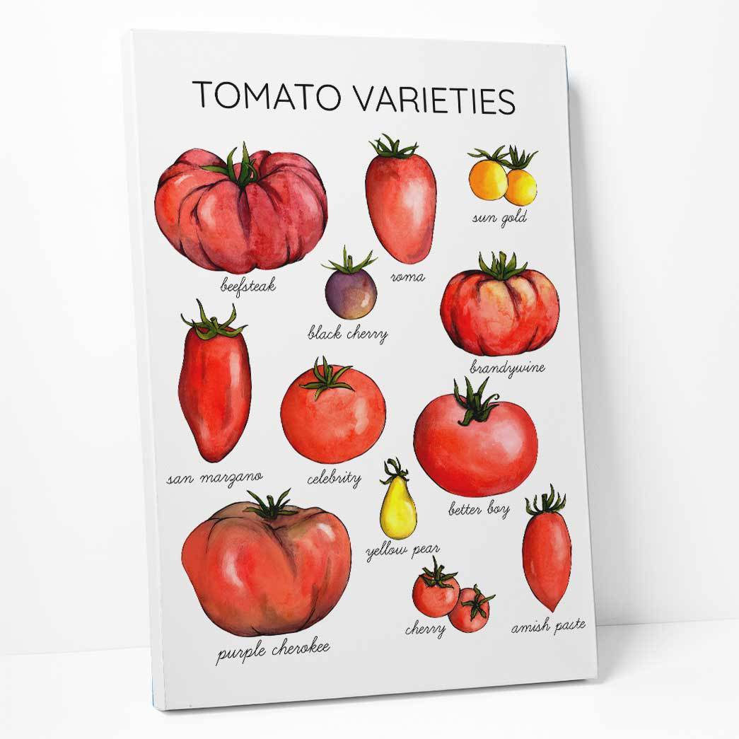 Gearhumans Tomato Varieties Canvas ZK1805215 Canvas 